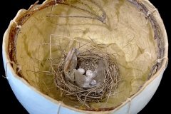 3 Billion Birds Gone #1, top view