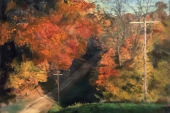 Along the Road Home