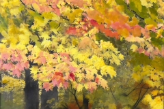 Fall