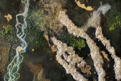 Deforestation: Gold Mining the Amazon
