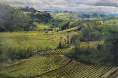 Wine Country