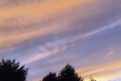 Painted Sky