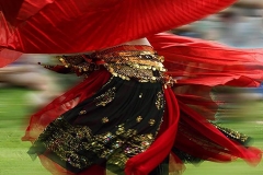 Whirling Dancer Whirling Dancer