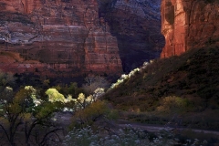 Zion Nat'l Park: Road to Sinawava