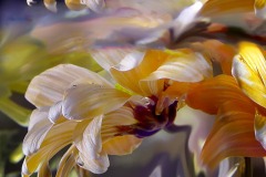 Under Water