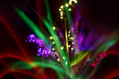 Garden Variety