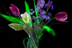 Spring Bounty