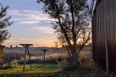 Behind the Barn