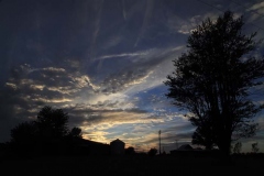 Sky & Trees