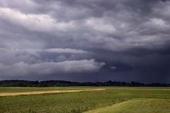 Tornado Warning