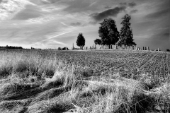 Under A Fall Sky, York Pioneer Cemetery