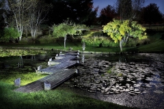 Lotus Pond and Zigzag Bridge