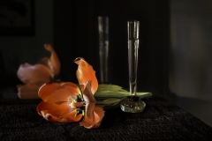 Tulip and Vase Reflected