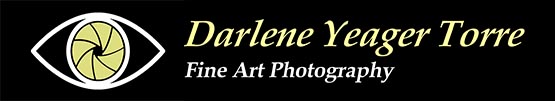 Darlene Yeager-Torre Photography